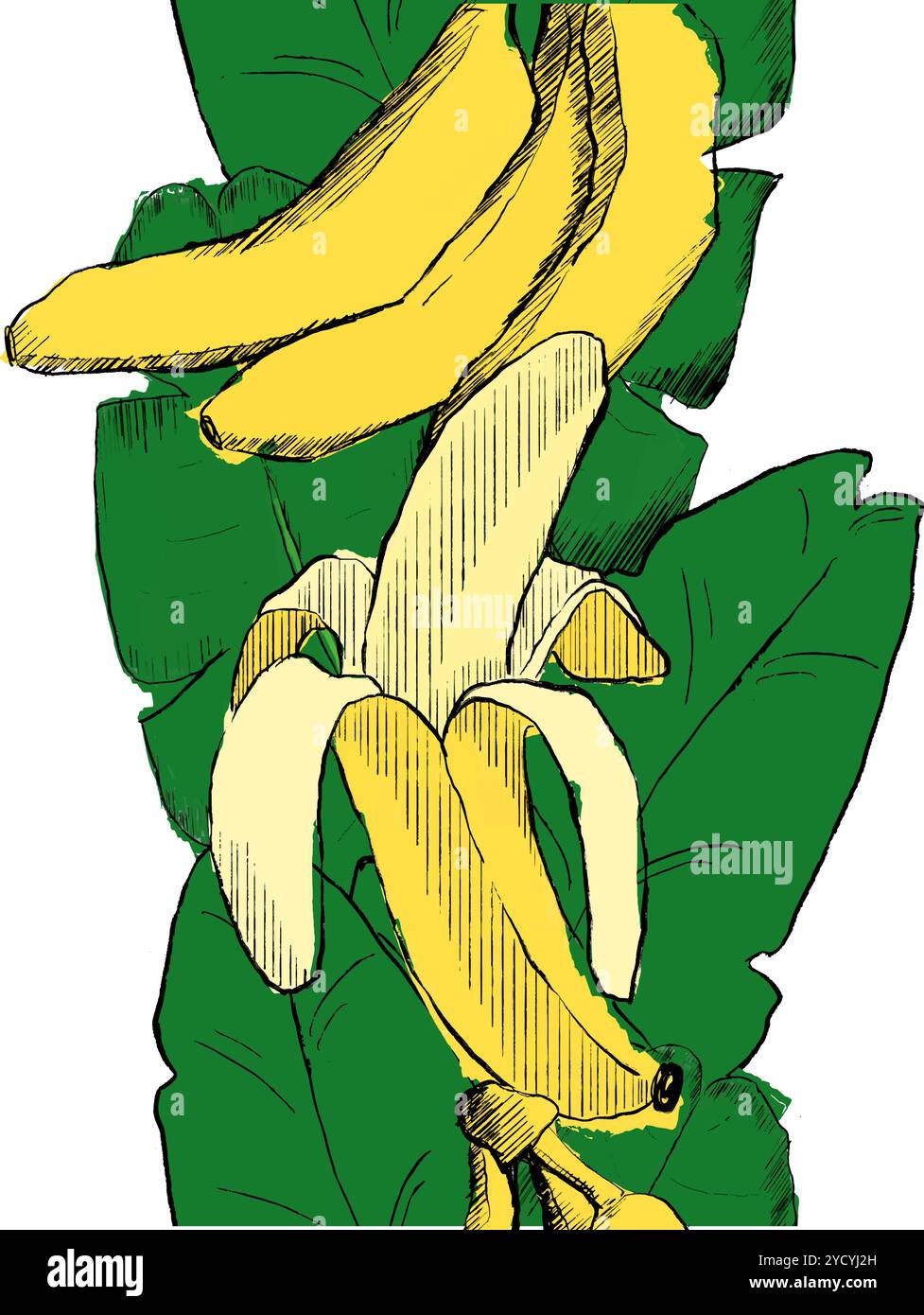 Bordo verticale con motivo senza cuciture ed elegante, con banane gialle fresche su sfondo verde in stile grafico. Motivo banane per stoffa, te Illustrazione Vettoriale