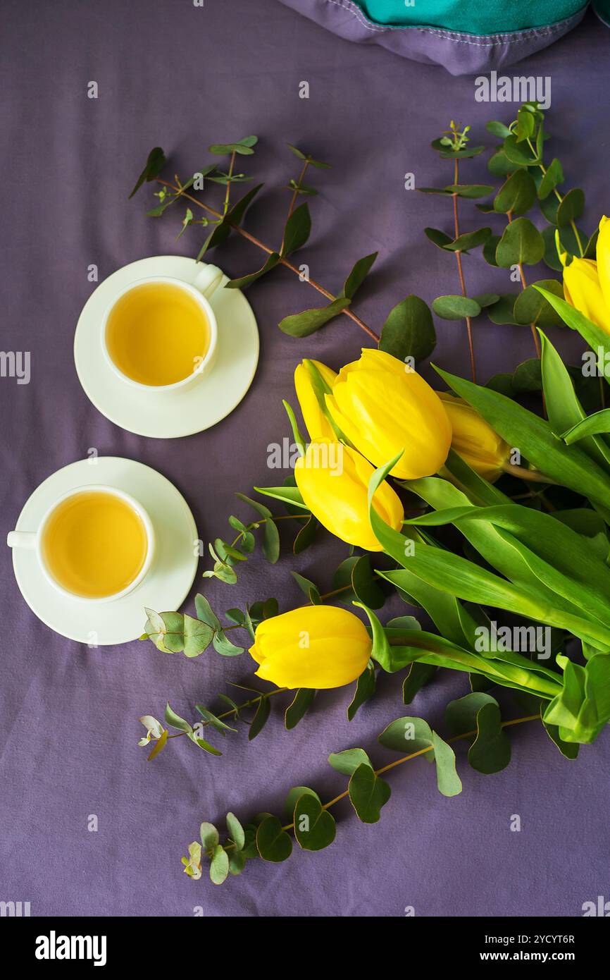 Bella tulipani gialli Foto Stock