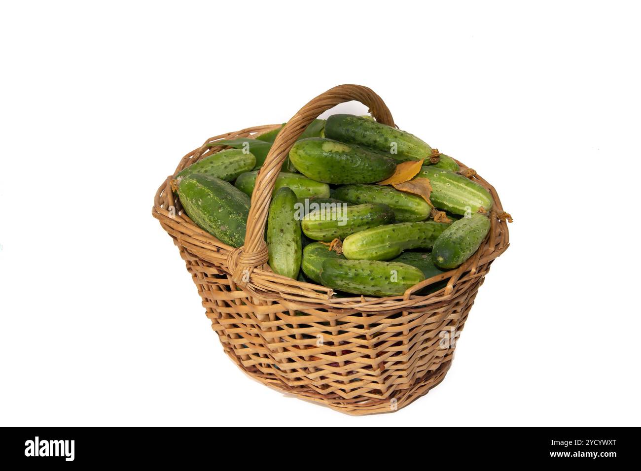 Cestello con mele. Raccolta autunnale. Mele raccolte fatte in casa nel cestino. Foto Stock