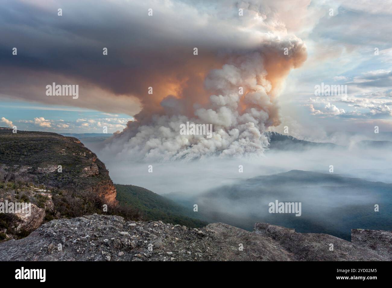 Montare solitario Bush fuoco Blue Mountains Foto Stock