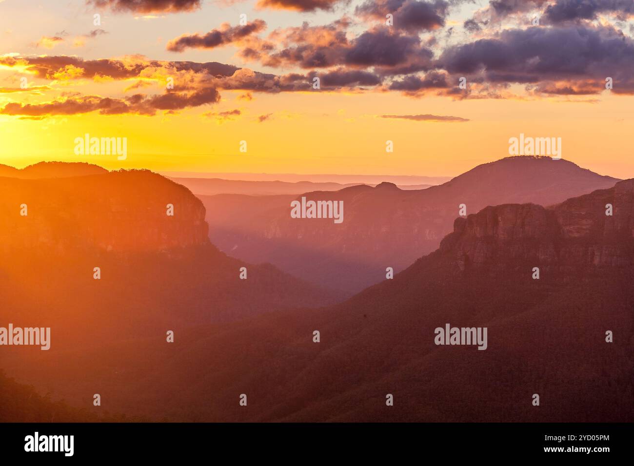 Alba panoramica con vista sul fieno del monte, Blue Mountains Foto Stock