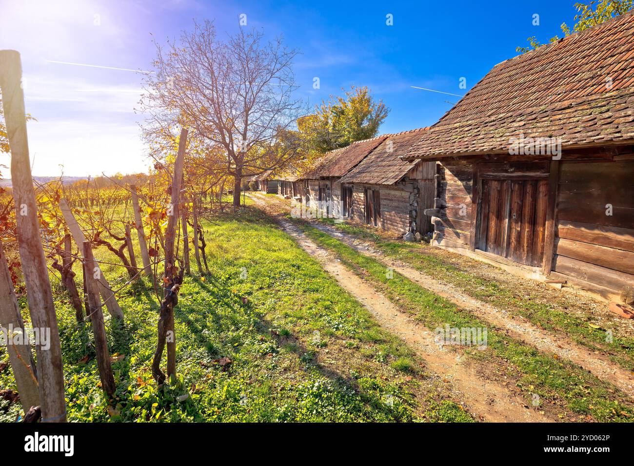 Vigneti storici di strada e cottage in legno Foto Stock