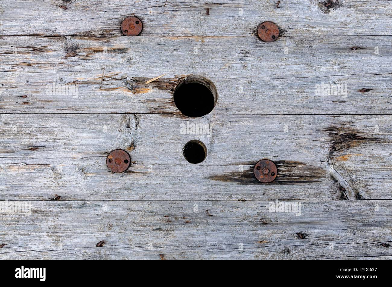 Superficie in legno intemprata con due fori e cinque viti. Foto Stock