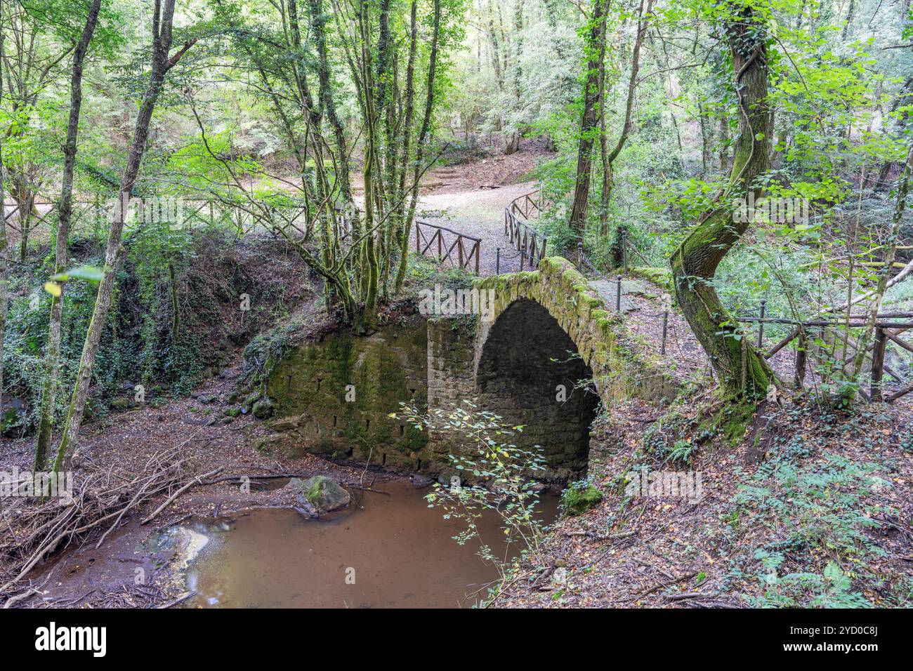 Riserva naturale Monte Rufeno, ponte romanico, Torre Alfina, Virerbo, Lazio, Italia Foto Stock