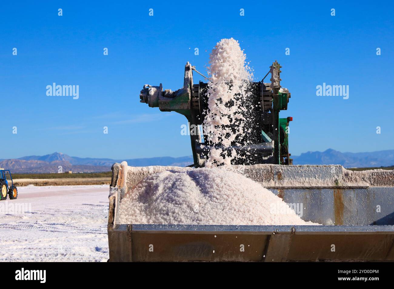 Raccolta e lavorazione del sale nelle saline Bonmati di Salta Pola, Spagna Foto Stock