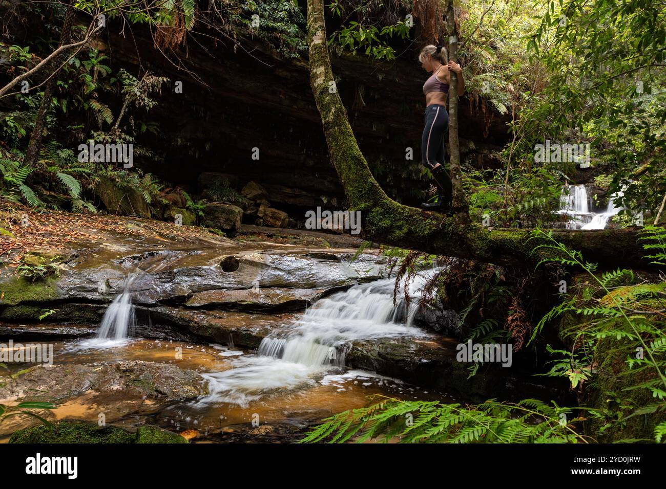 Donna in piedi sul tronco dell'albero che esplora le cascate nella lussureggiante natura selvaggia Foto Stock