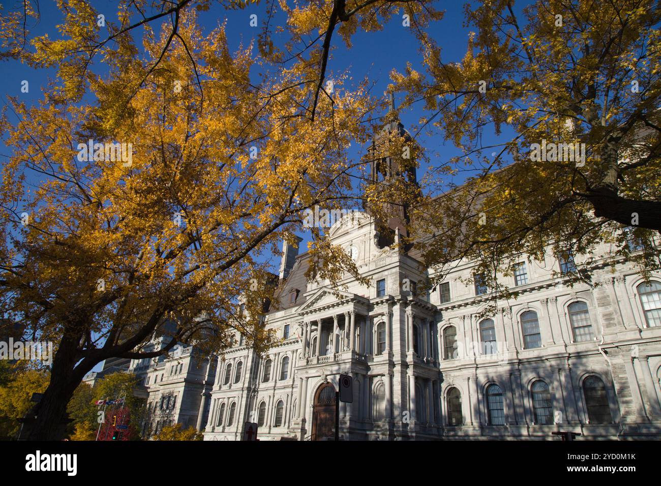 Canada, Quebec, Montreal, Municipio, Hotel de Ville, Foto Stock