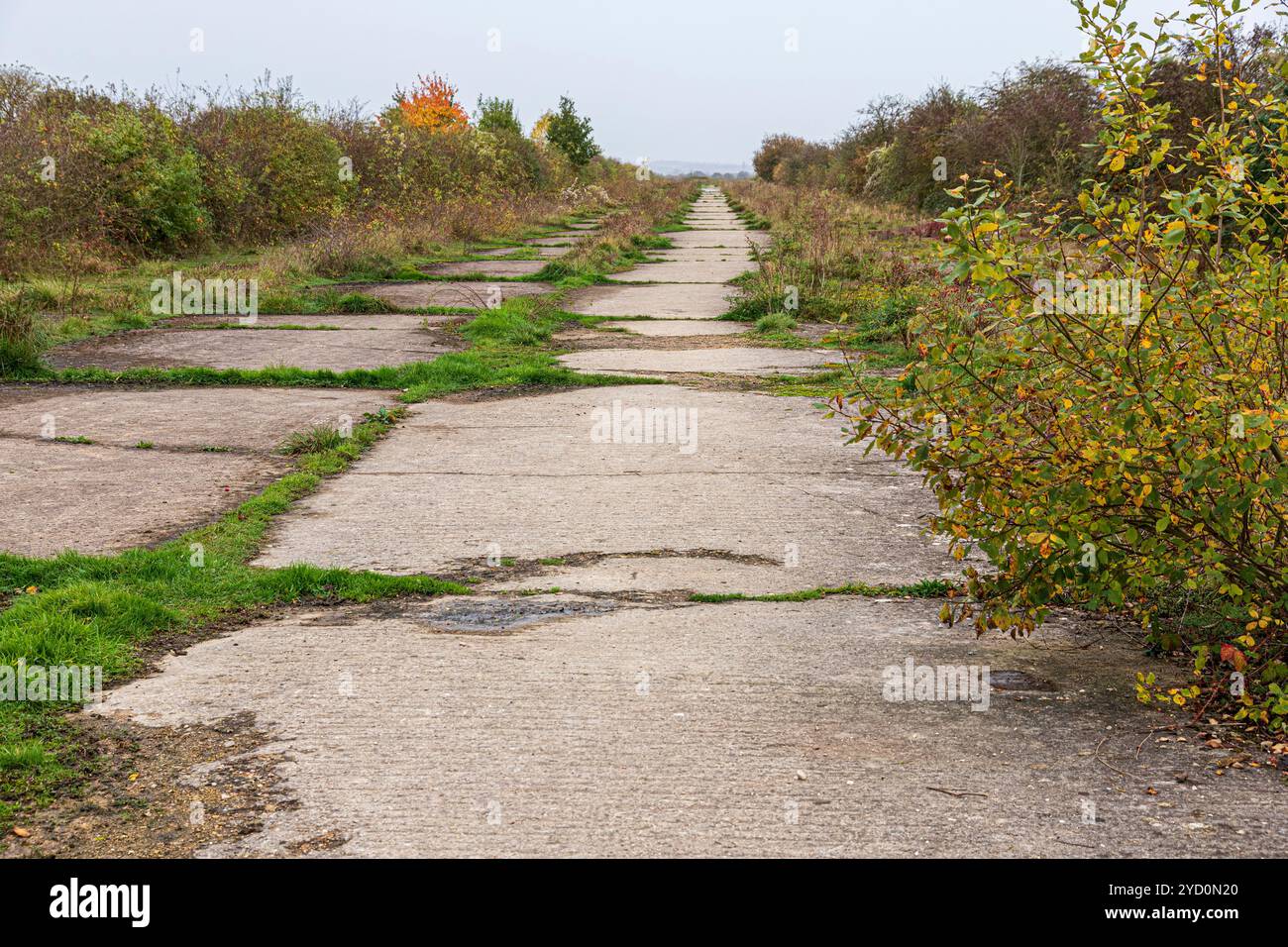 I resti della pista di cemento del campo d'aviazione della seconda guerra mondiale di RAF Broadwell vicino al villaggio di Kencot, Oxfordshire, Inghilterra Regno Unito Foto Stock