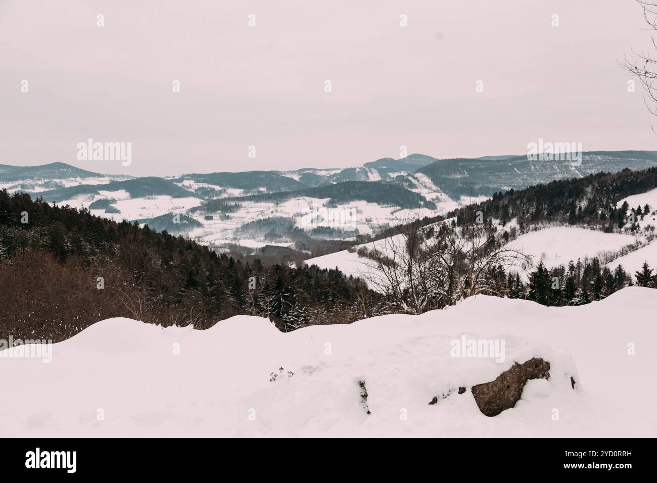 Un tranquillo paesaggio invernale mette in mostra montagne ricoperte di neve e colline ondulate, circondate da fitti alberi sempreverdi, che creano un'atmosfera serena Foto Stock