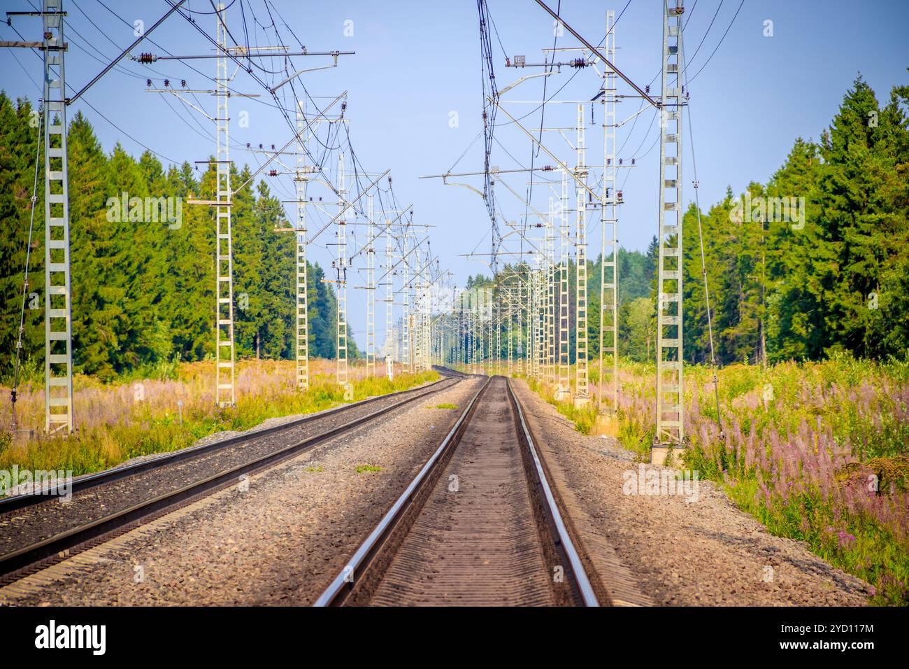 Ferrovia russa estiva. Rotaie e traverse. Ferrovia tra il paesaggio. Foto Stock