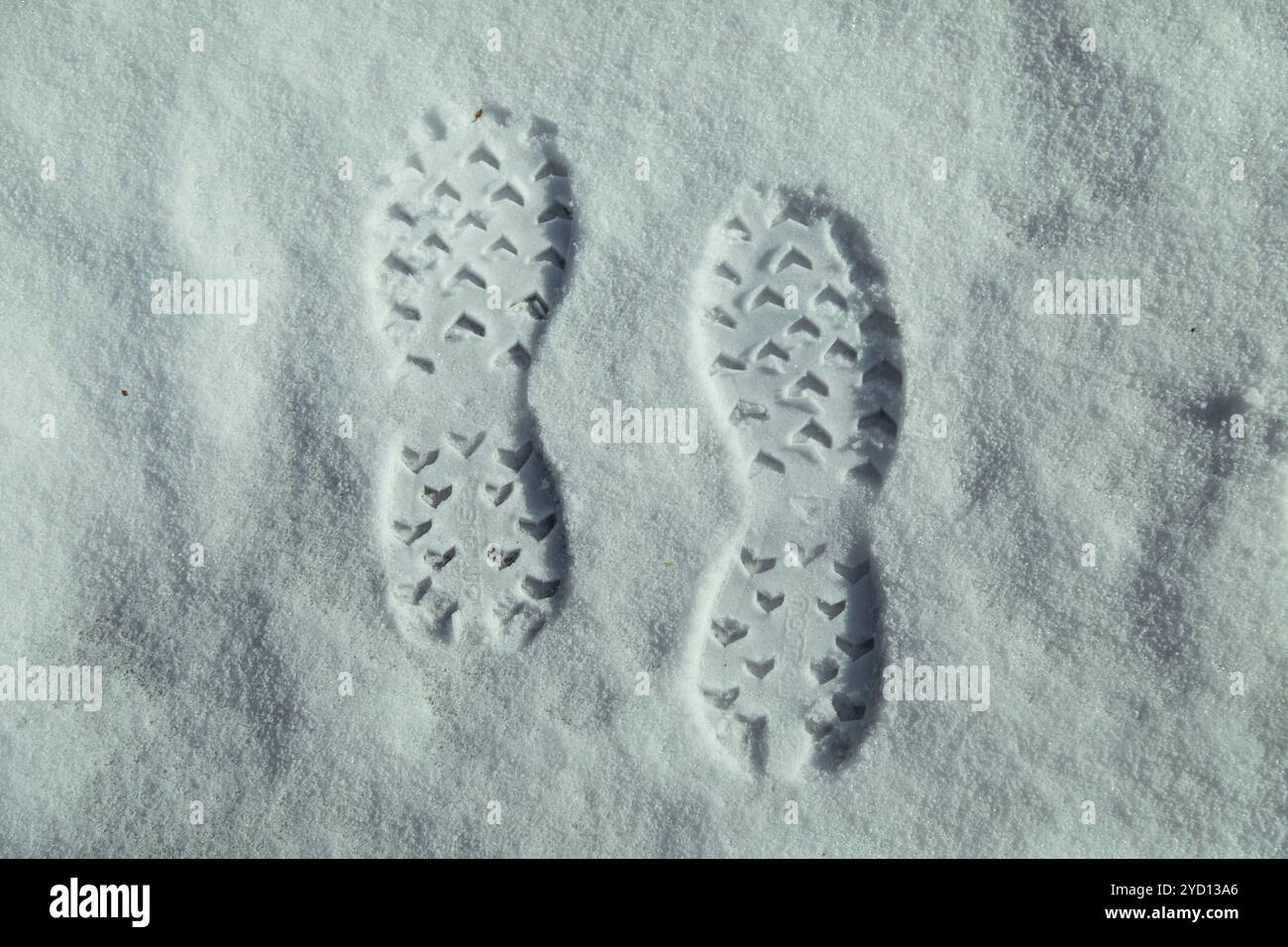 Impronte distinte conducono attraverso una tranquilla distesa innevata in un parco nazionale. La scena cattura la bellezza dell'inverno, con la luce del sole che risplende Foto Stock