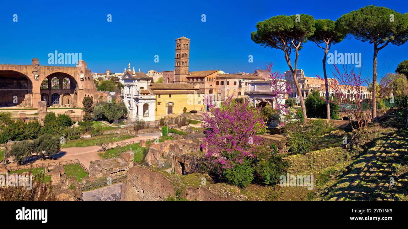 Vista panoramica in primavera sulle rovine del foro Romano di Roma Foto Stock