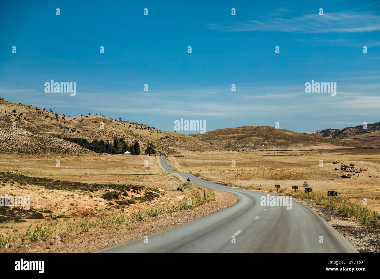 Una tranquilla strada sterrata si snoda attraverso le calanchi beige del Marocco, delimitata da erba e colline sotto un cielo azzurro. Il paesaggio riflette il beau Foto Stock