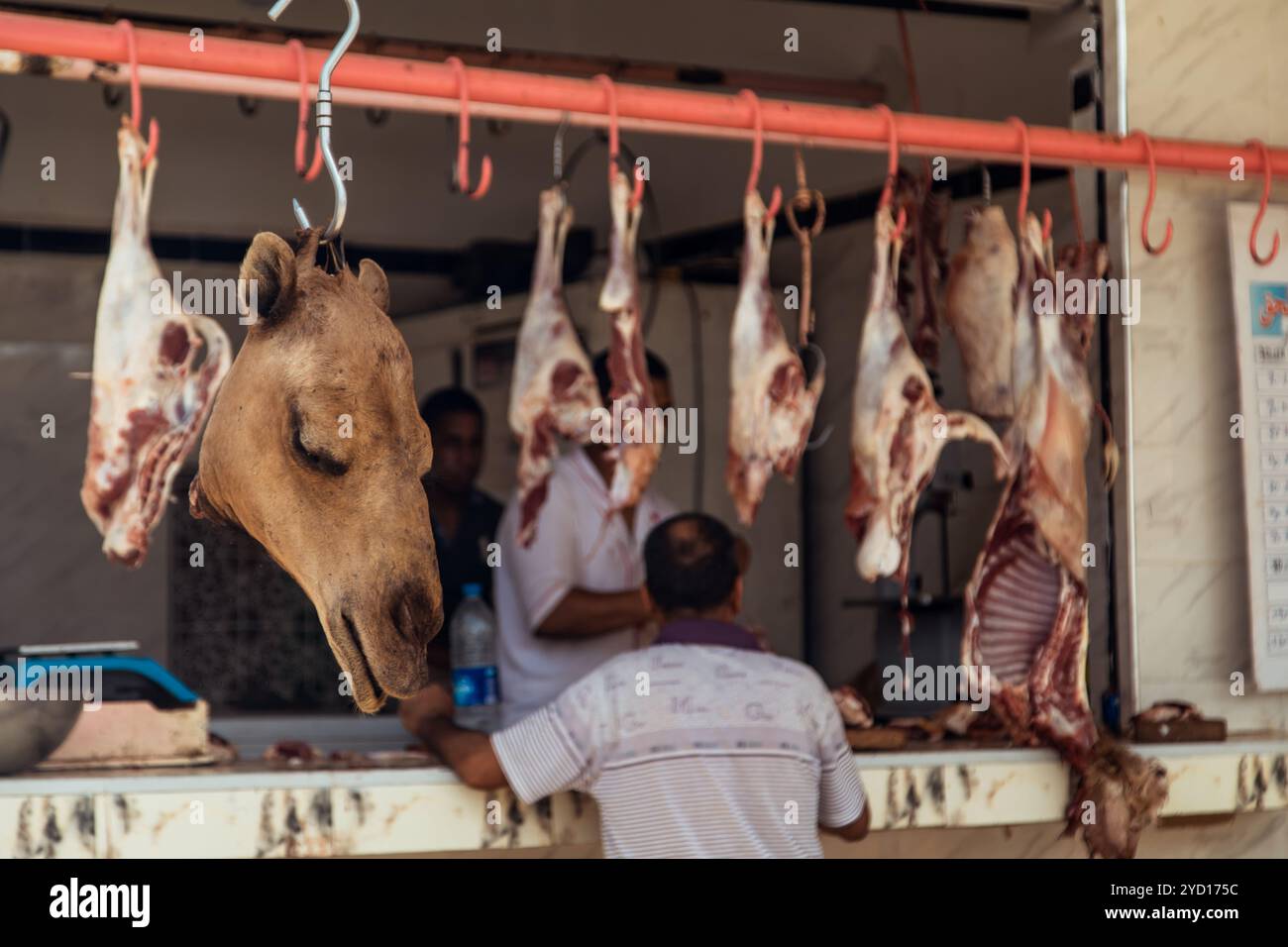 Countryside, Marocco, 23 luglio 2019: Macelleria che espone carne di cammello in un soleggiato mercato marocchino durante una calda mezzogiorno Foto Stock