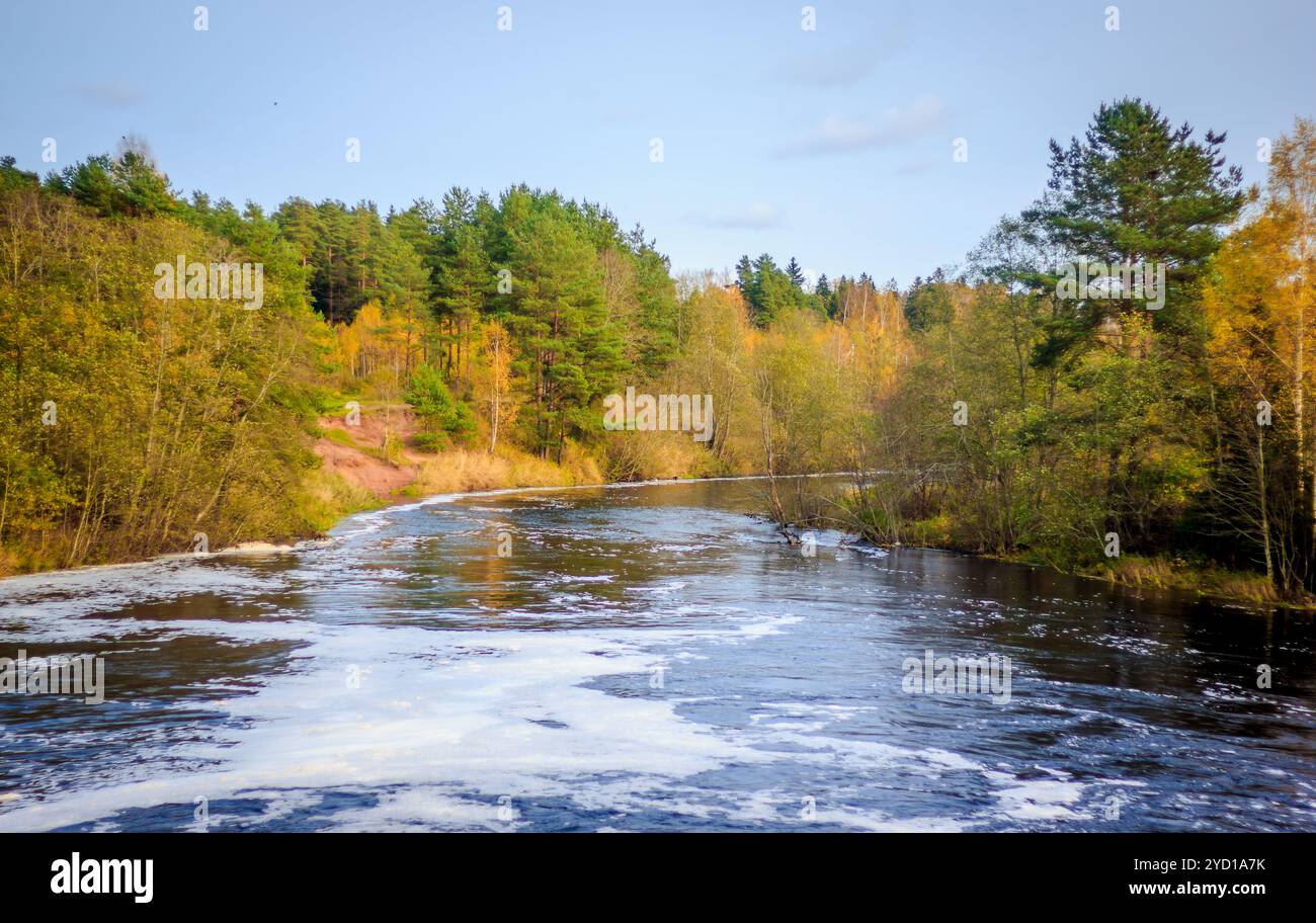 Paesaggio autunnale vicino al fiume. fiume e foresta. condizioni meteorologiche imperfette. metà autunno. il paesaggio autunnale di ottobre fuori città Foto Stock