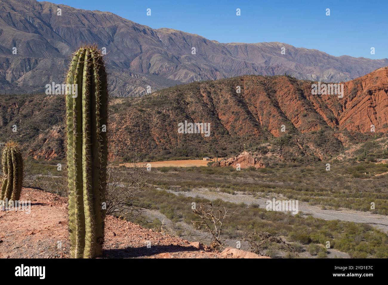 Turismo avventura invernale. Contesto per la promozione del turismo. Paesaggio di Salta. . Copia spazio Foto Stock