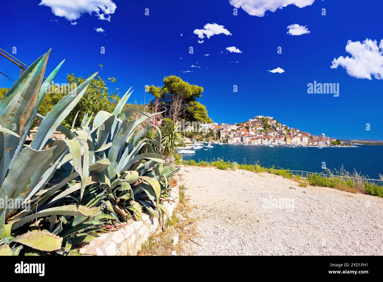Vista sulla costa della città di Sibenik, meta di navigazione, patrimonio dell'umanità dell'UNESCO Foto Stock