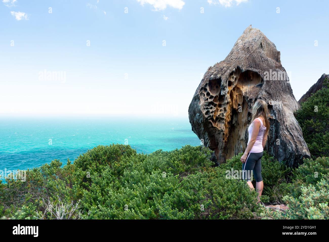 Visitatore del Royal National Park per ammirare le attrazioni turistiche Foto Stock