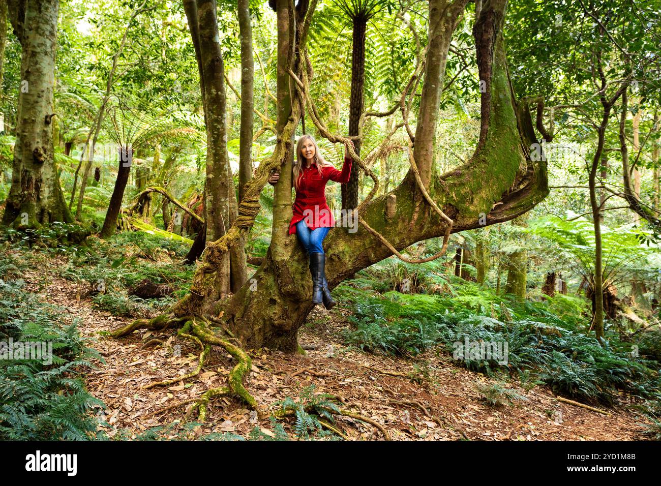 Giocare nel giardino della natura - donna seduta su un grande albero con viti appese Foto Stock