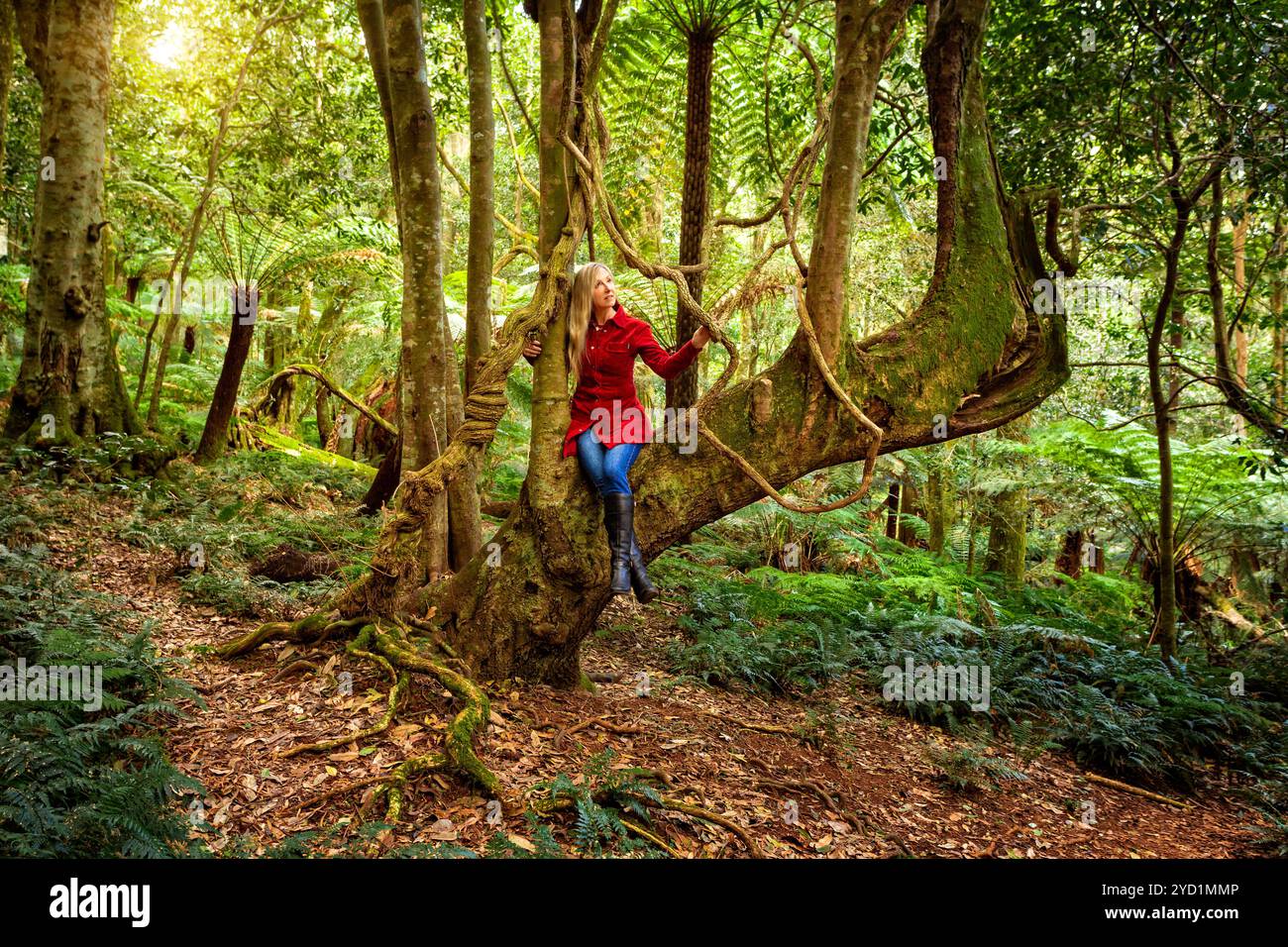 Donna che si rilassa in un albero tra i giardini della foresta pluviale Foto Stock