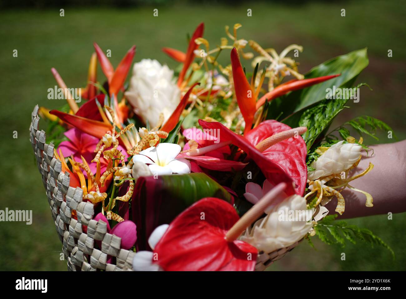 Fiori presentati alla regina Camilla durante la sua visita al Samoa Victim Support Group (SVSG) ad Apia, Samoa, per ascoltare le sfide sociali causate dalla violenza di genere nel paese, il sesto giorno della visita reale in Australia e Samoa. Data foto: Giovedì 24 ottobre 2024. Foto Stock