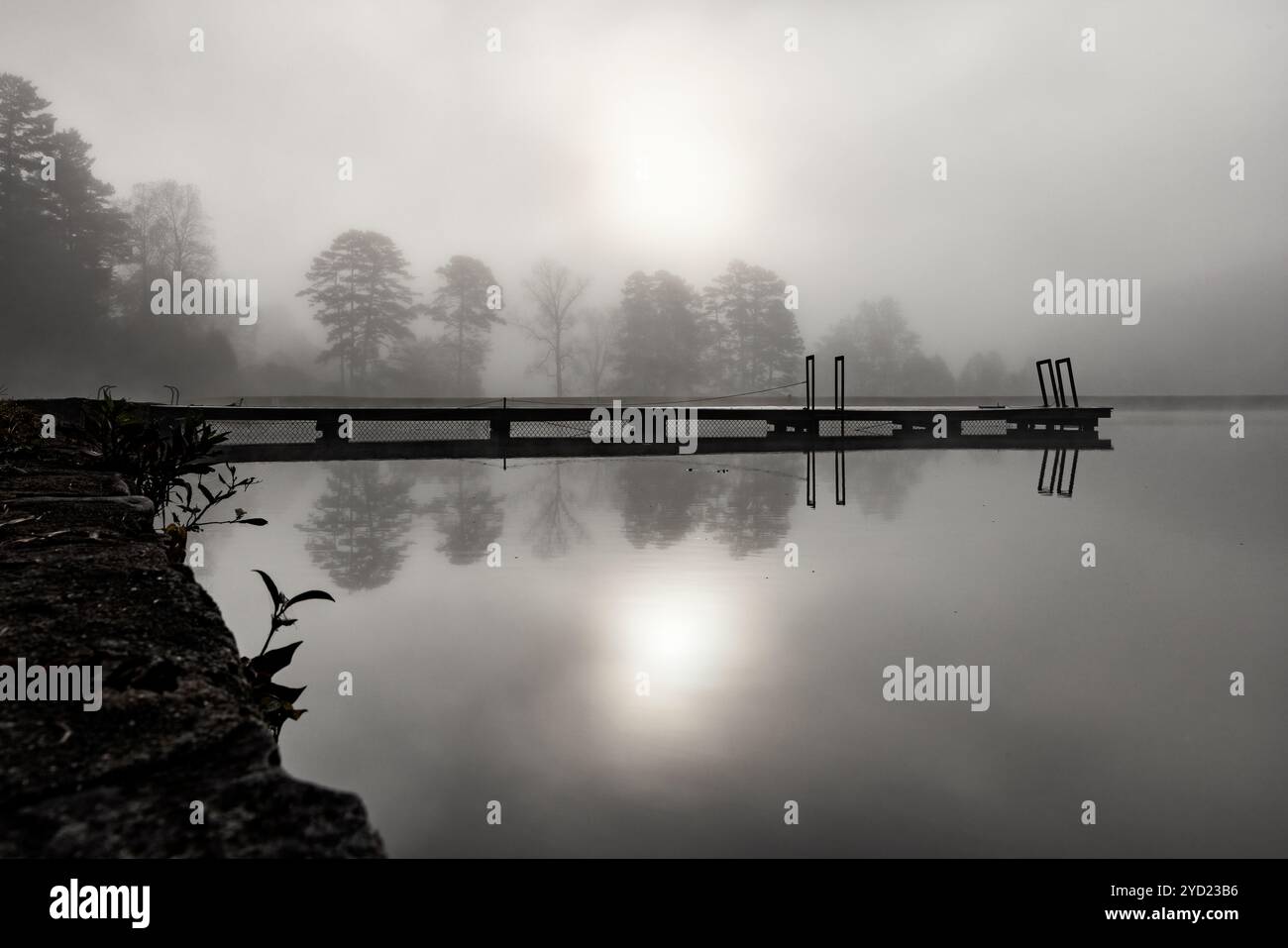 Moody la nebbia del mattino presto sul lago Straus - Brevard, North Carolina, Stati Uniti [immagine in bianco e nero] Foto Stock