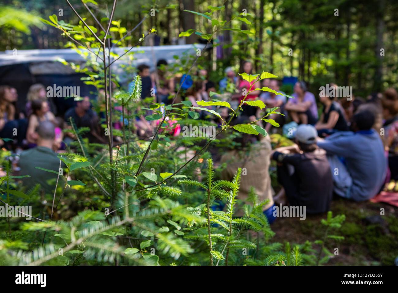 Persone diverse amano l'incontro spirituale Foto Stock