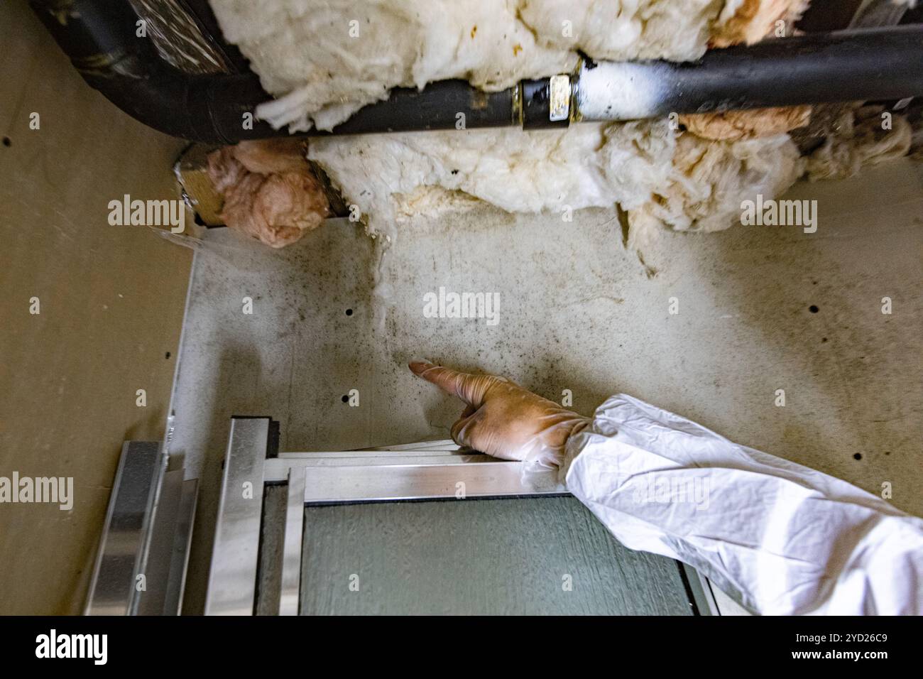 Una piscina ispettore ambientale è visto rivolto verso l'area di problema all'interno di un condannato home, nero e di muffe è visibile sul pannello di cartongesso pareti. Foto Stock