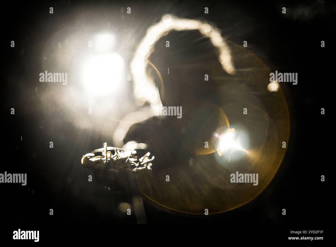 Persona irriconoscibile con piume in mano. Foto Stock