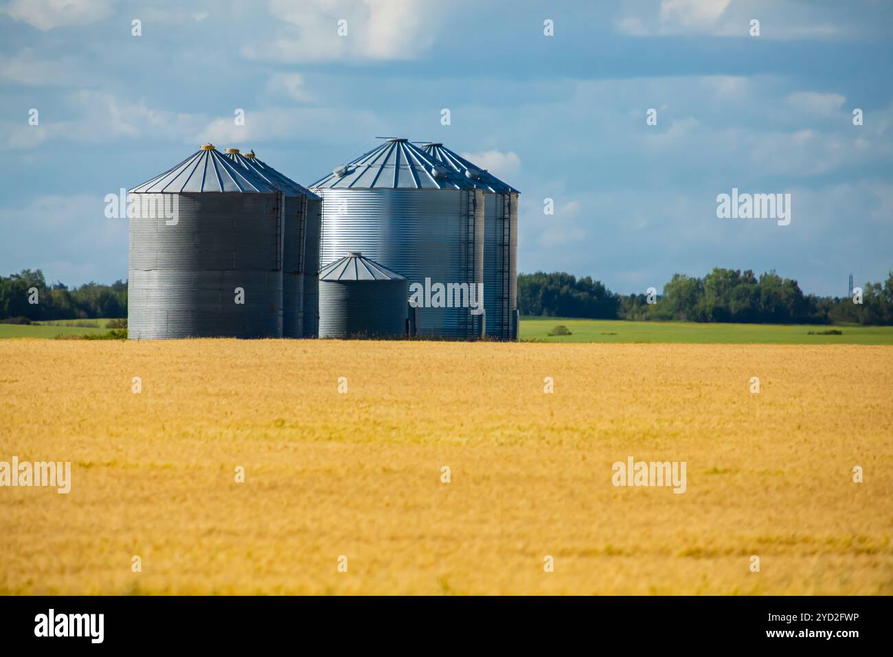 Silos di stoccaggio in acciaio sfuso per campi di coltura Foto Stock