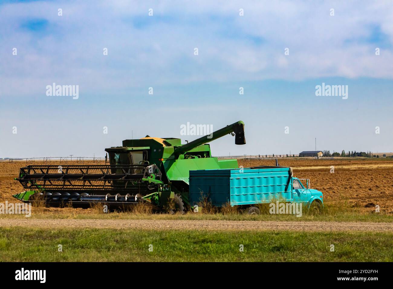 Veicoli agricoli al lavoro nel campo del raccolto Foto Stock