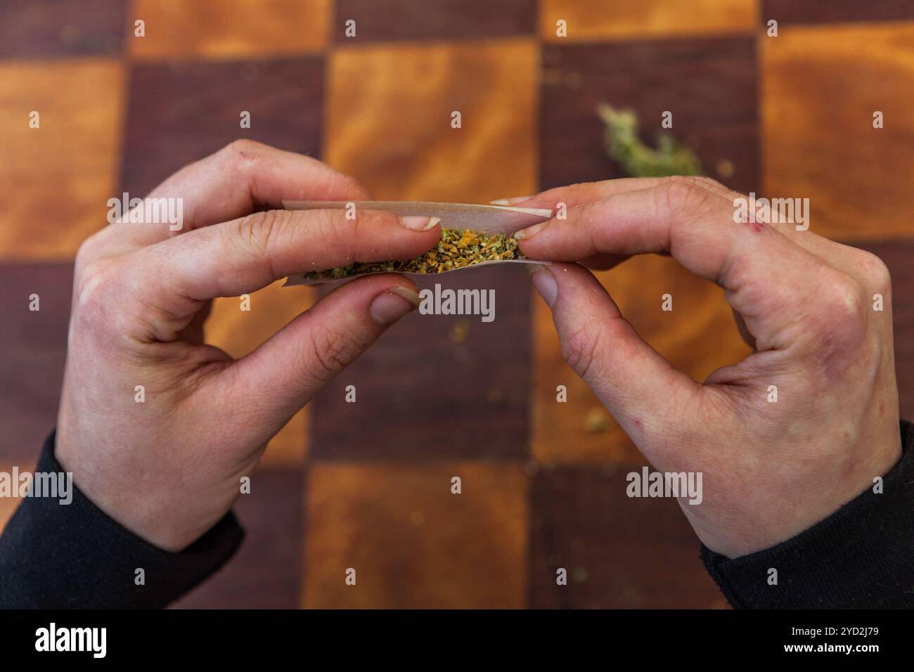 Rotolare a mano un giunto di cannabis da zero Foto Stock