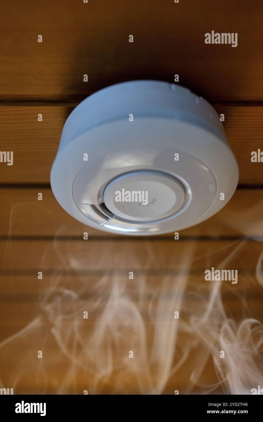 Rilevatore di fumo domestico, rilevatore di fumo a batteria, fumo, soffitto in legno, servizi edili, Stoccarda, Baden-Wuerttemberg, Germania, Europa Foto Stock