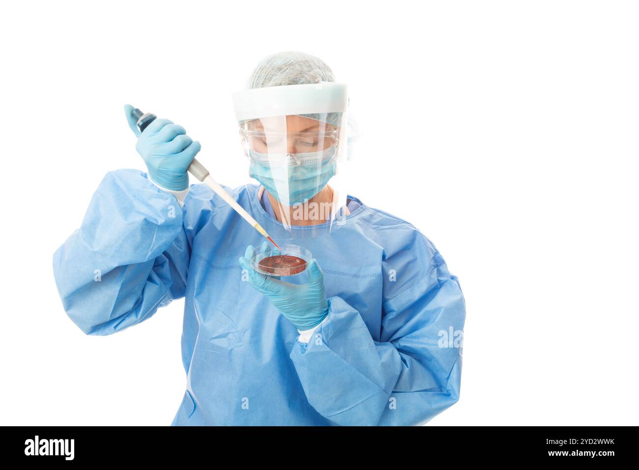 Ricerca professionale di laboratorio e diagnosi di campioni in coltura Foto Stock