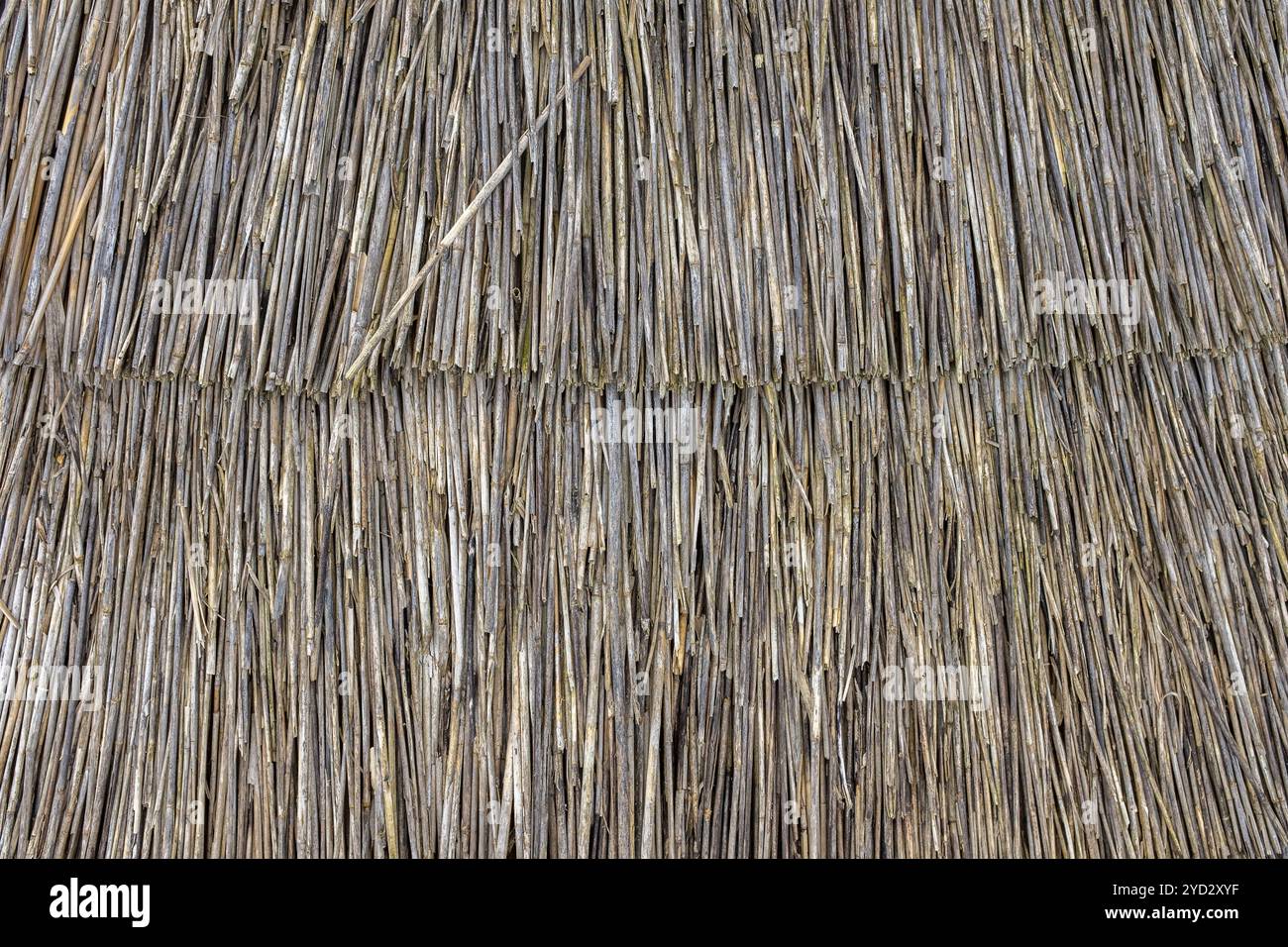 Abstract background Texture of A thatched Roof, Thatch or thatching Foto Stock