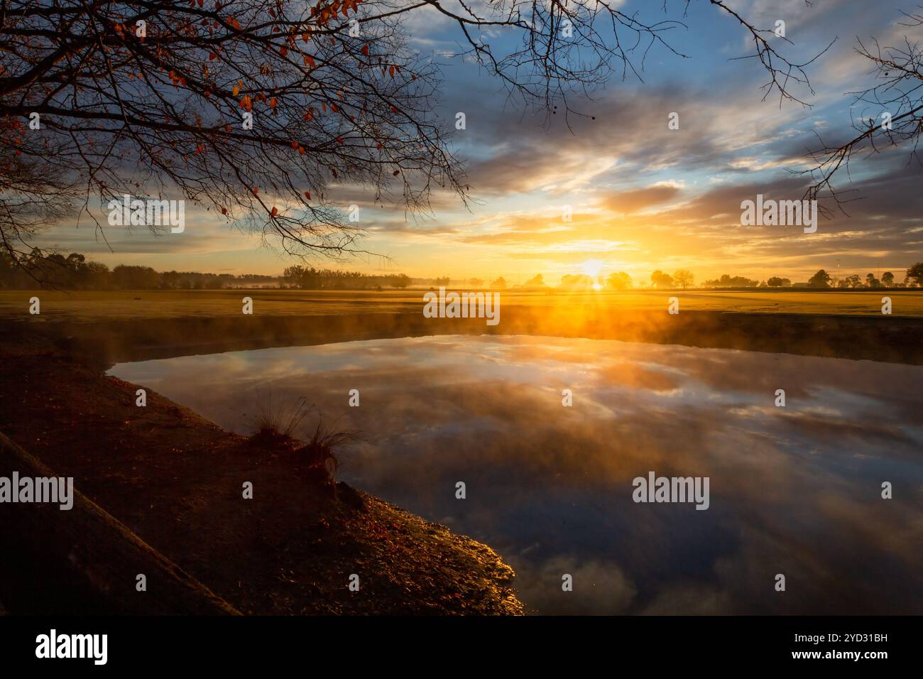 La nebbia di terra si insinua nel paesaggio la mattina d'autunno Foto Stock