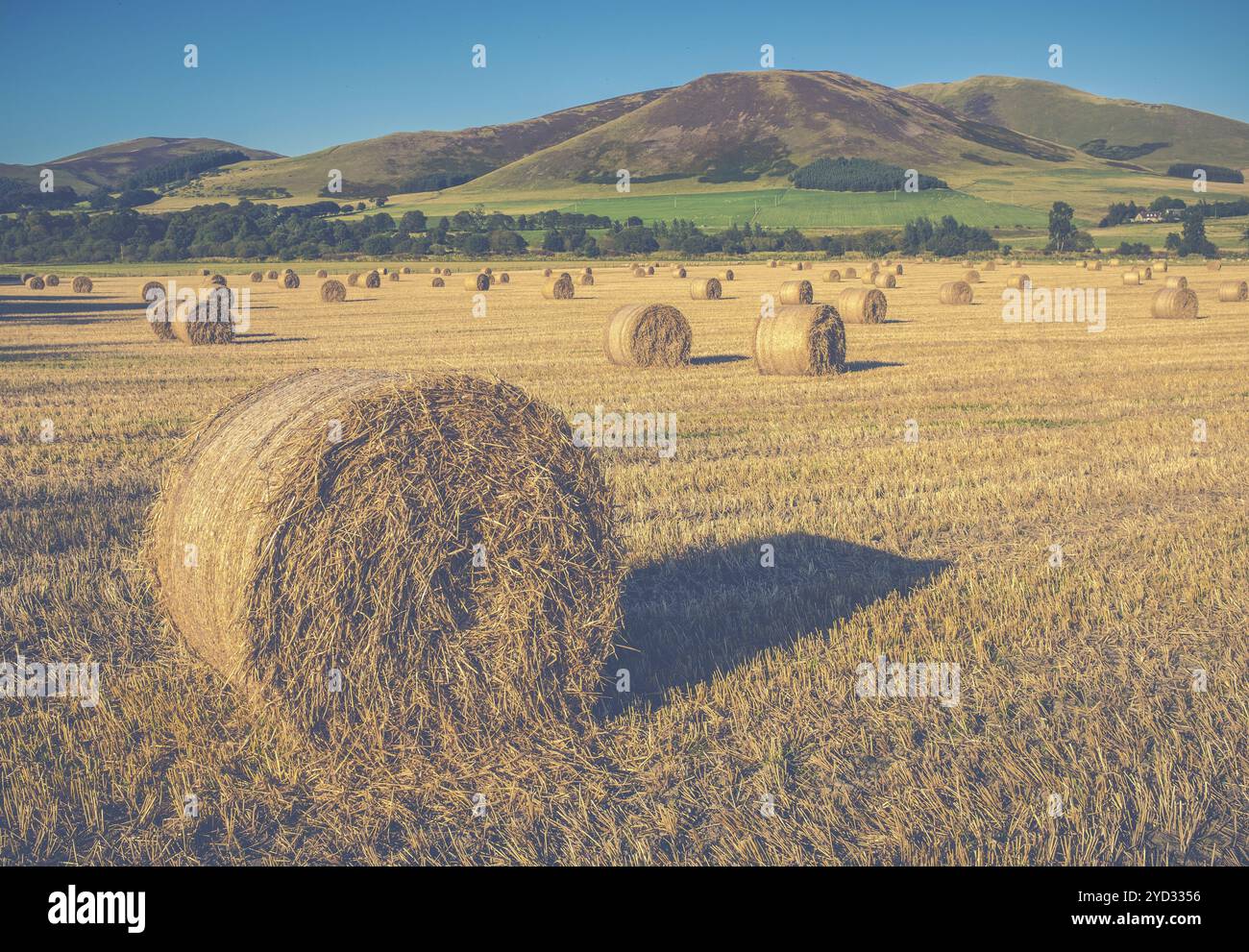 Agricoltura del Regno Unito Immagine di una balla di paglia su una fattoria scozzese Foto Stock