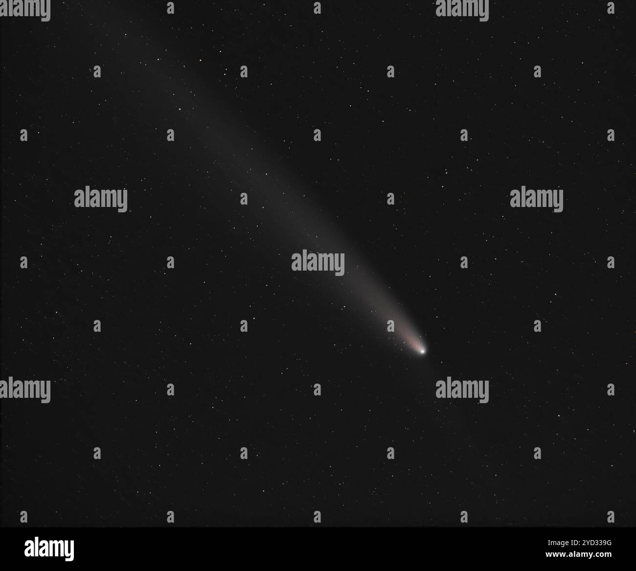 Cometa C/2023 A3 (Tsuchinshan–ATLAS) fotografata dall'emisfero settentrionale del Regno Unito. Foto Stock