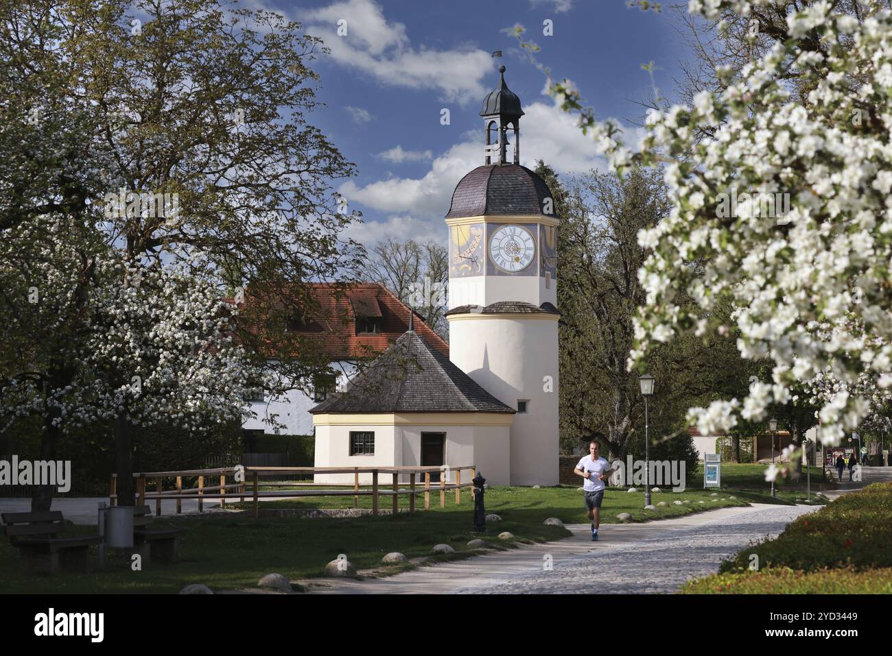 Storica torre dell'orologio al castello di Burghausen, jogging tra alberi da frutto in fiore, primavera, Burghausen, alta Baviera, Baviera, Germania, Europa Foto Stock