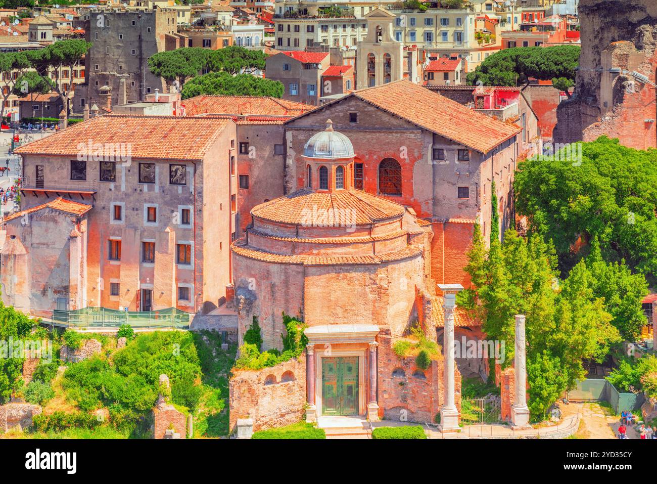 Vista del Foro Romano dal colle del Palatino - una panoramica generale di tutto il Foro Romano in cima. Tempio di Romolo(Tempio del Divo Romolo). Foto Stock