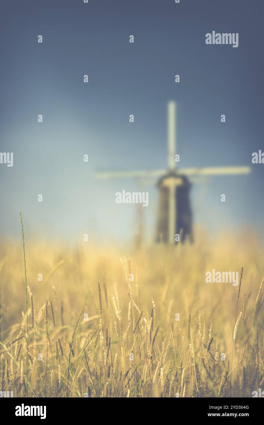 Retro Vintage Style Wheat Field With A Windmill In The Background With Shallow DoF Foto Stock