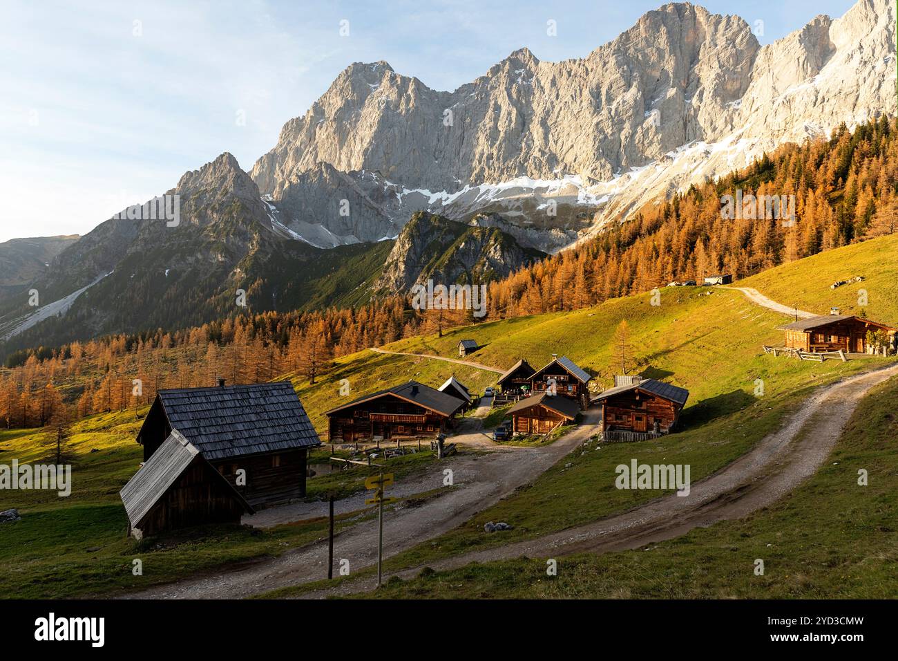 Rifugi tradizionali sul pascolo alpino di Neustattalm, prato, circondato da foreste nelle fogliaga autunnali e nella catena montuosa di dachstein, austria Foto Stock