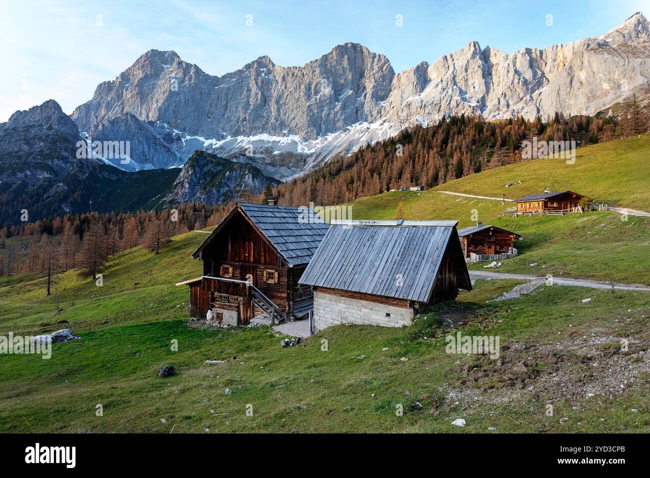 Rifugi tradizionali sul pascolo alpino di Neustattalm, prato, circondato da foreste nelle fogliaga autunnali e nella catena montuosa di dachstein, austria Foto Stock