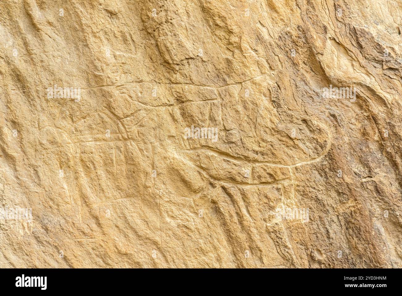 Il Parco Nazionale del Qobustan (Gobustan) è ben noto per le sue storiche incisioni rupestri, l'Azerbaigian. Le incisioni rupestri raffigurano persone, cacciatori e varie Foto Stock