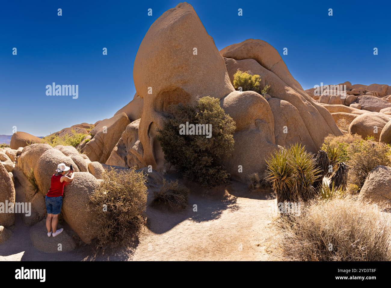 Donna con un cappello di paglia che scatta una foto di Skull Rock nel Joshua Tree National Park Foto Stock