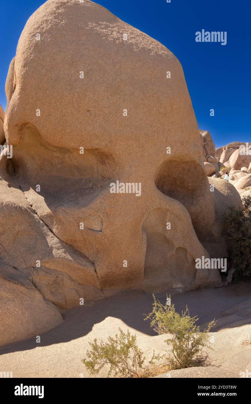 L'iconica Skull Rock nel Joshua Tree National Park, California Foto Stock