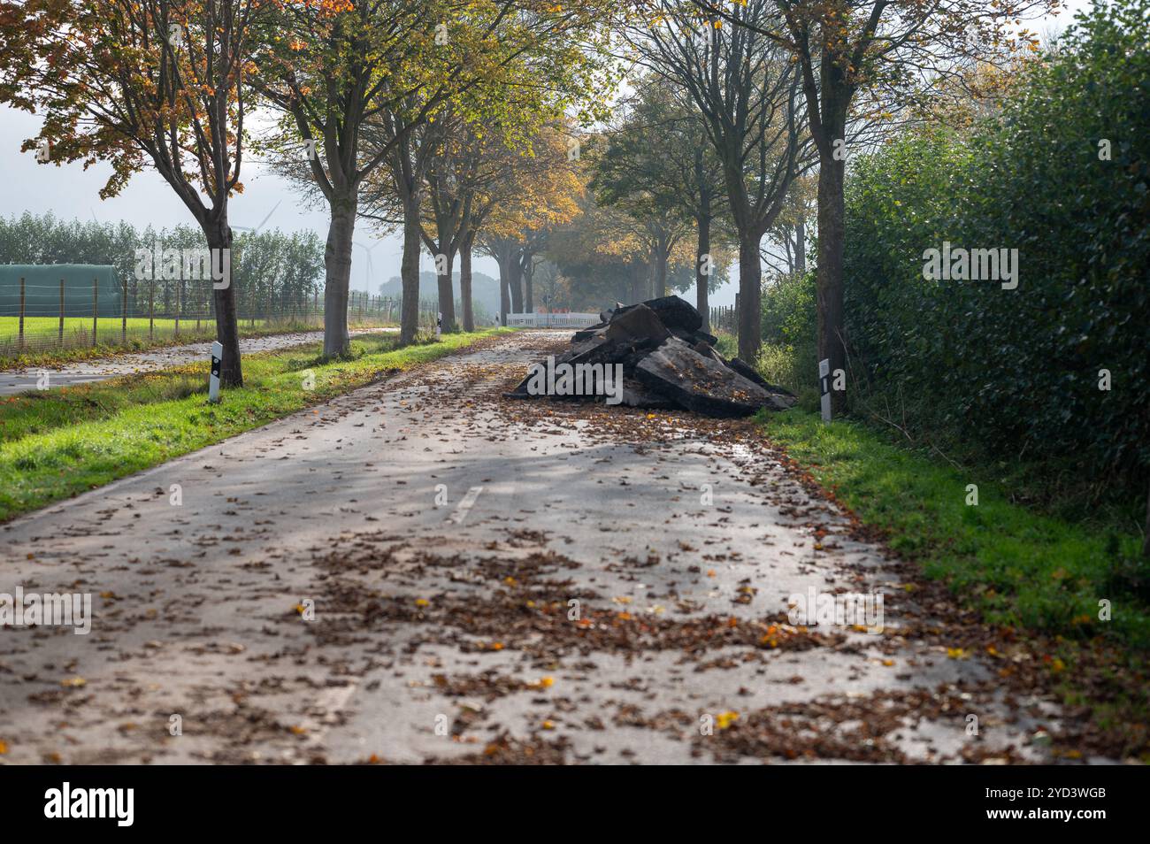 asfalto, retroescavatore, edilizia - attività, costruzione, cantiere, controllo, strada di campagna, pericolo, guida, consapevolezza del conducente, progettazione, Foto Stock