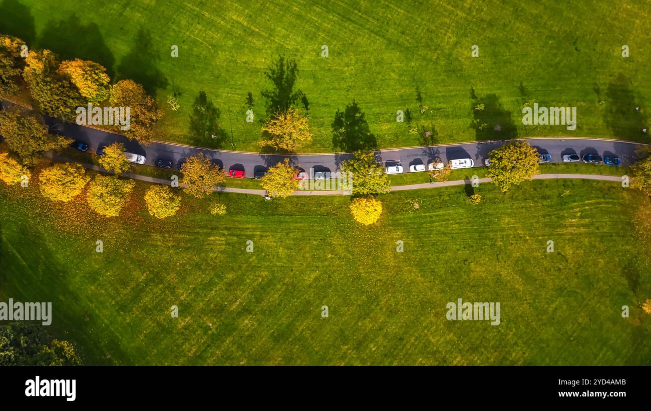 Veduta aerea di Winding Road nell'Autumn Park Foto Stock