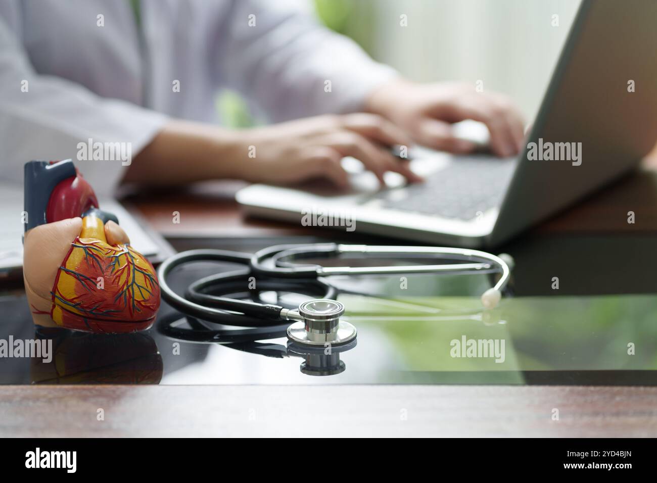 Medico cardiologo che lavora in clinica, primo piano selettivo sul modello cardiaco. Foto Stock