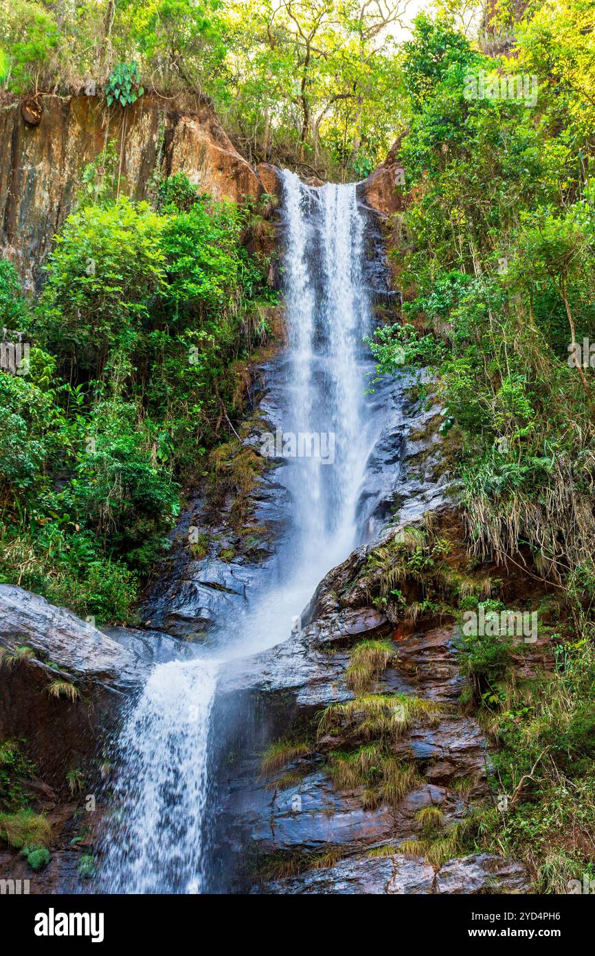 Rocce e cascate nella foresta Foto Stock